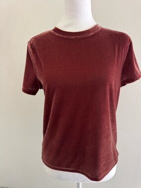 Madewell Velvet Short Sleeve Tee in Wine